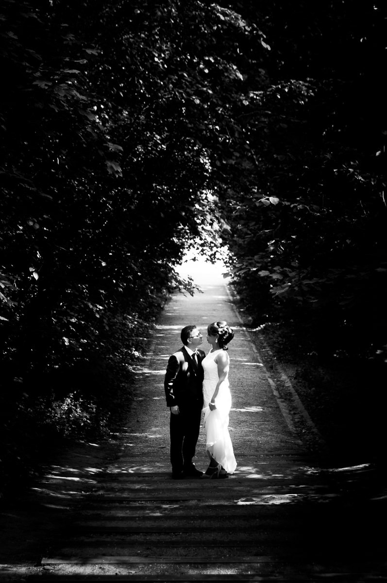 Photographe de mariage mixte oriental Parc de Sceaux